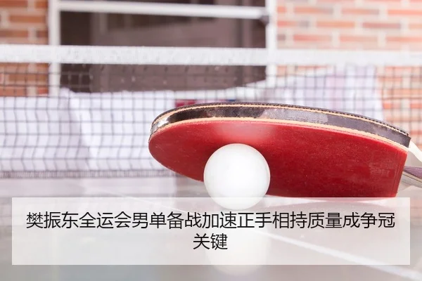 樊振东全运会男单备战加速正手相持质量成争冠关键