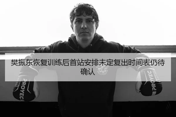 樊振东恢复训练后首站安排未定复出时间表仍待确认