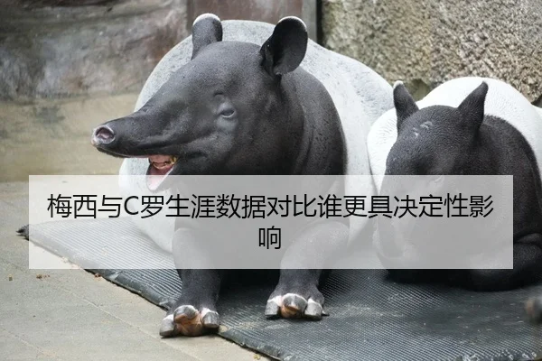 梅西与C罗生涯数据对比谁更具决定性影响